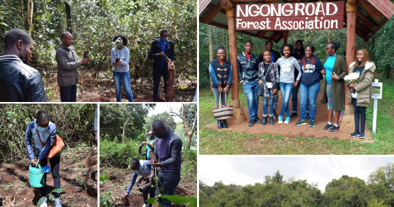 Tree Planting at Ngong Road Forest Sanctuary